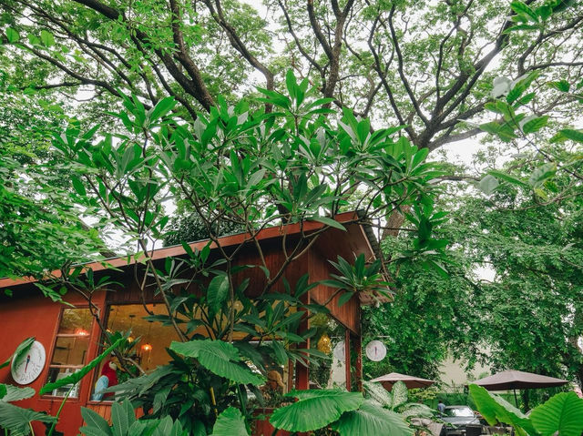 คาเฟ่นนทบุรีสุดกรีน