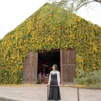 The Birder's Lodge 