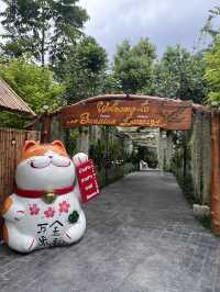 บ้านสวนลานสาง cafe