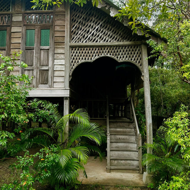 Lantern Dreams and Heritage Grace