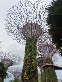  🌺 Gardens by the Bay – สวนล้ำโลกกลางสิงคโปร์