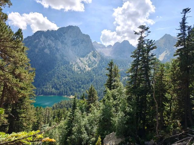 One Lake to Rule Them All