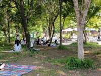 都市綠洲，首爾林的自然公園。