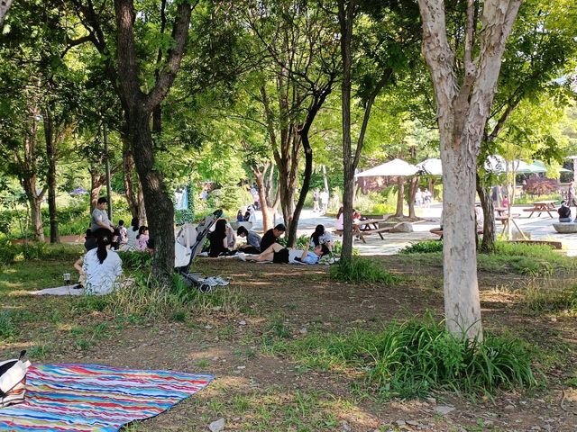 都市綠洲，首爾林的自然公園。