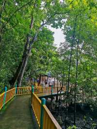 Cruising Through Nature’s Secret Labyrinth
