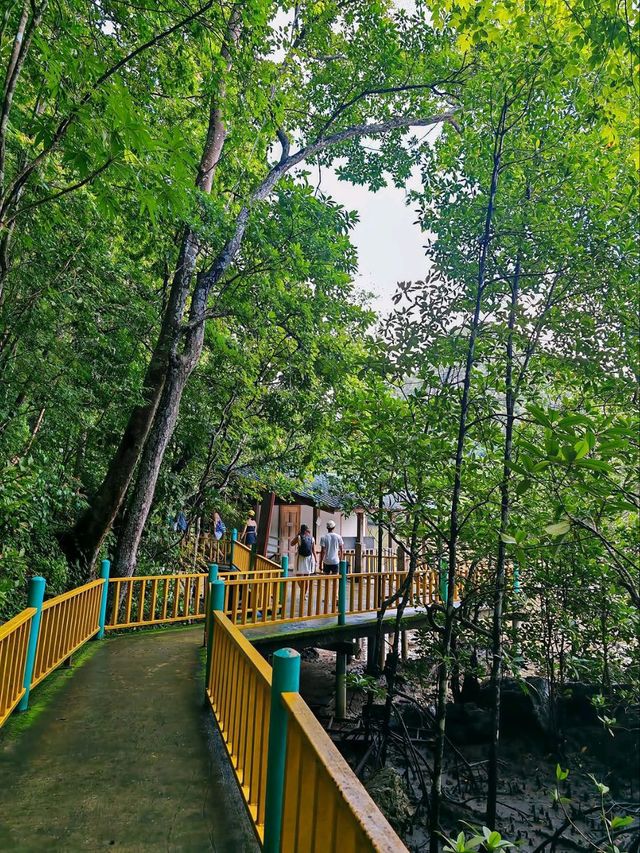 Cruising Through Nature’s Secret Labyrinth