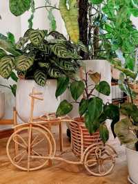 Kon Kon Cafe Malaysia