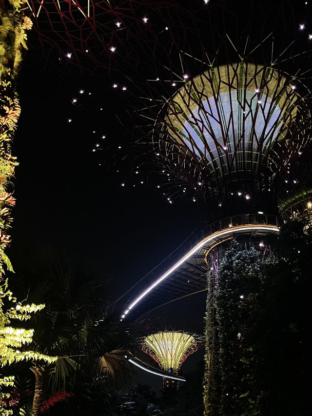 Sg trip🇸🇬