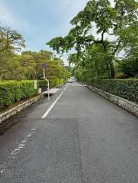 【南禅寺】水路閣と禅の静寂に癒される🍂京都の奥深さに触れる旅