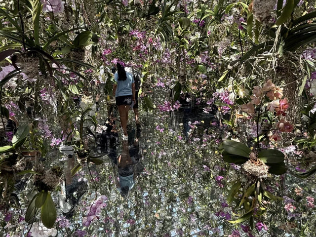 TeamLab Planets Tokyo: Tokyo's Most Engaging Art Experience! 🌟👣