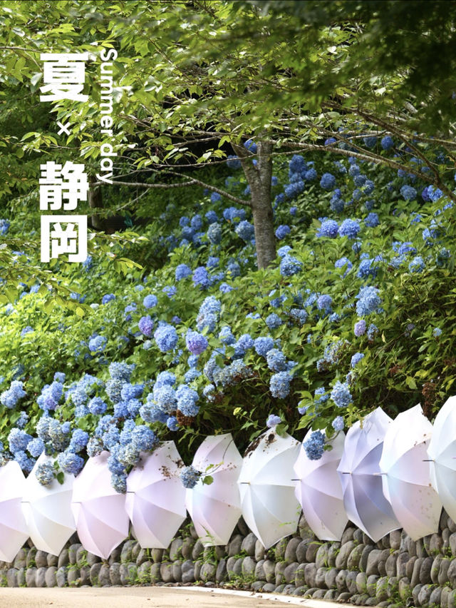 【静岡】 映えスポットばかり！ 年間イベント多数 名物団子も大人気！