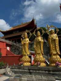 Zigong Is Dinosaurs, Lanterns, and Unexpected Good Vibes