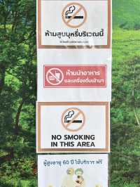 ถ่ายรูปเช็คอินสายชิล @โบนันซ่าเอ็กโซติกซู 🏕️