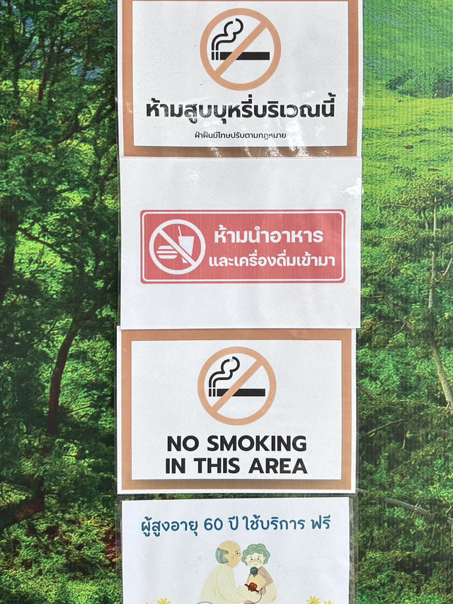 ถ่ายรูปเช็คอินสายชิล @โบนันซ่าเอ็กโซติกซู 🏕️