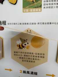 賴爺爺蜜蜂森林：在蜂香與花間，找回自然的甜蜜節奏