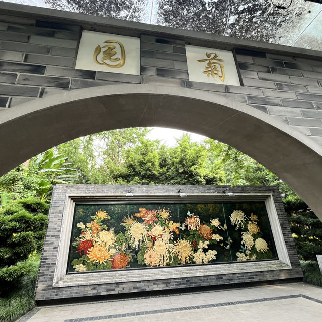 🎋 Chengdu People’s Park 成都人民公园 | A Window into Local Life