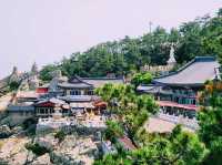 🏞️【山海之間】海東龍宮寺：依海而建的靈性秘境