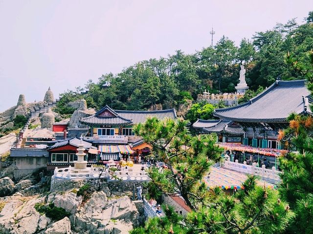 🏞️【山海之間】海東龍宮寺：依海而建的靈性秘境