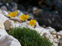 Three Cauldrons Trail