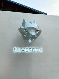 Silverfox Cafe: The Perfect Blend of Coffee and Aesthetic Charm