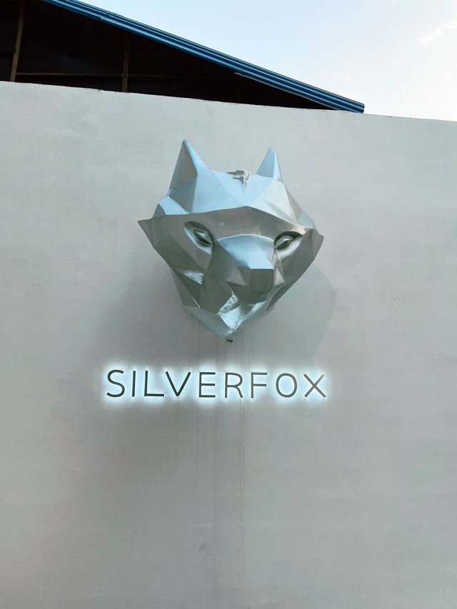 Silverfox Cafe: The Perfect Blend of Coffee and Aesthetic Charm