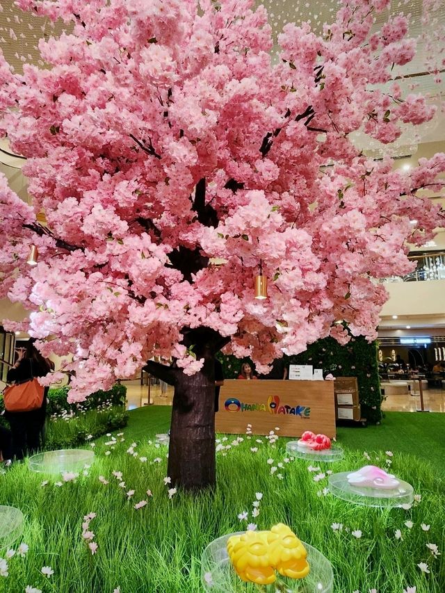 大雨後的金鐘和村上隆的太陽花