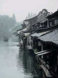 Beyond the Bridges: Discovering Wuzhen
