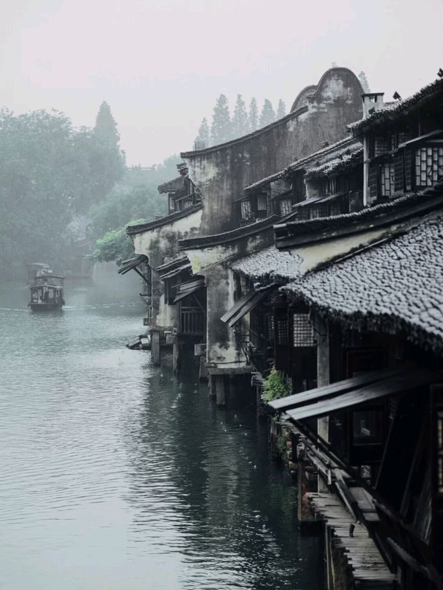 Beyond the Bridges: Discovering Wuzhen