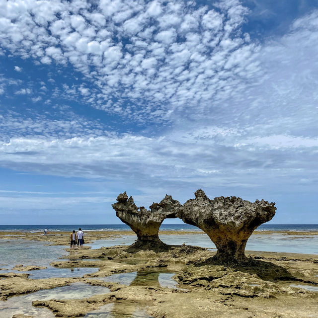 🏝【2泊3日で沖縄本島縦断旅！海・島・コーヒーを満喫】 