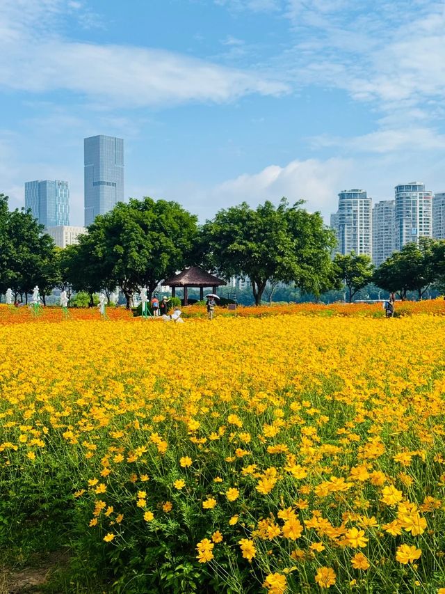 花境詩篇—牛口公園 花境詩篇—牛口公園
