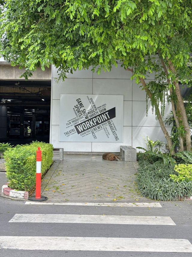 Workpoint มาถ่ายรูปเช็คอินที่เวิร์คพอยท์ย่านรังสิต