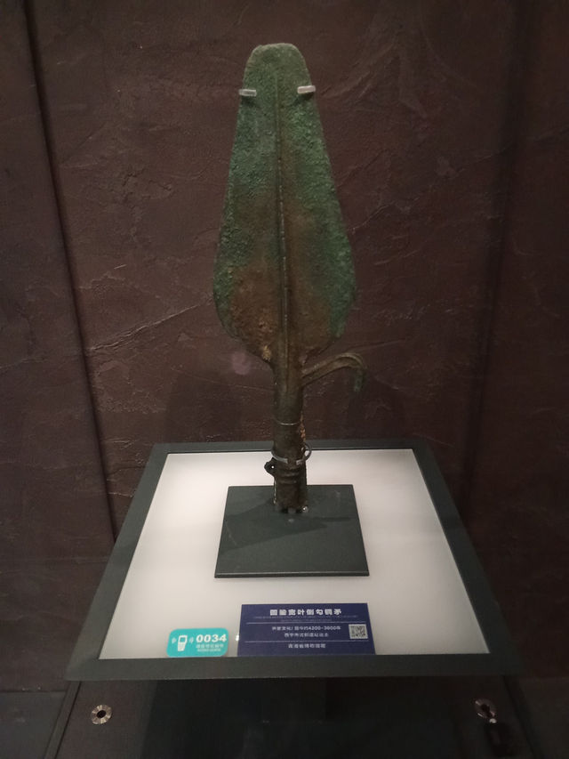Discovering Qinghai Province Museum: A Cultural Gem in Xining Discovering Qinghai Province Museum: A Cultural Gem in Xining