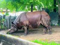 Nature and Wildlife at Higashiyama Zoo and Botanical Gardens