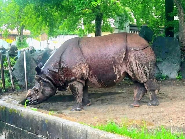 Nature and Wildlife at Higashiyama Zoo and Botanical Gardens