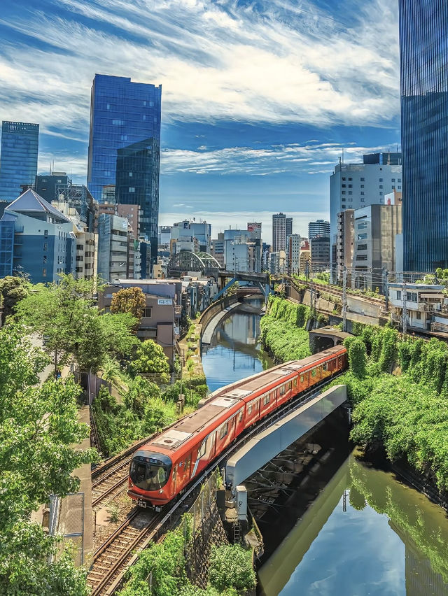 Tokyo is full of picture-perfect moments