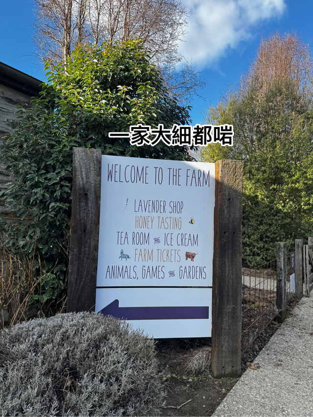 港女私藏！Wanaka薰衣草牧場：薰衣草嘅秘密花園好似韓劇咁