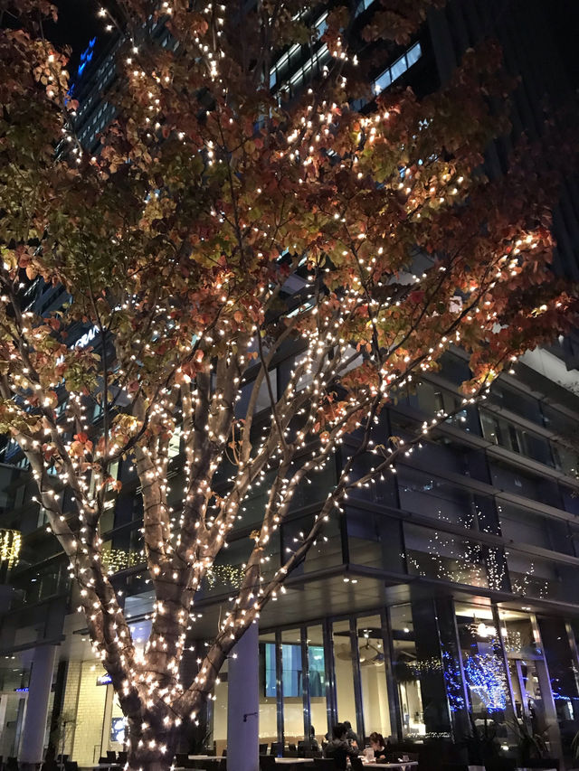 秋の横浜でコスモス＆おしゃれ散歩🌸✨