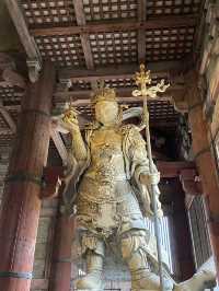 一日散策-奈良公園