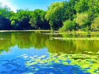 Boggart Hole Clough – Legends and Landscapes