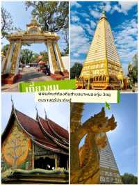🌺ชวนเที่ยว วัดพระธาตุหนองบัว