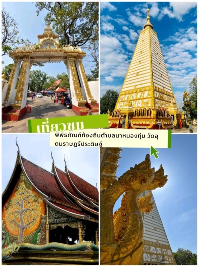 🌺ชวนเที่ยว วัดพระธาตุหนองบัว
