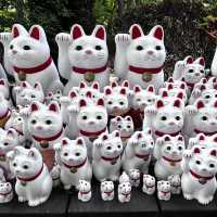 My Solo Pilgrimage to Tokyo's Lucky Cat Kingdom