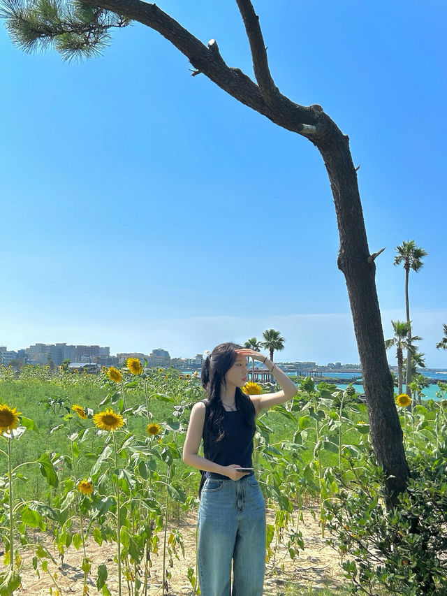 여름이 떠나가기 전 동쪽 제주 🌻