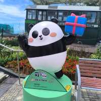 一日玩盡山頂廣場必踏路線