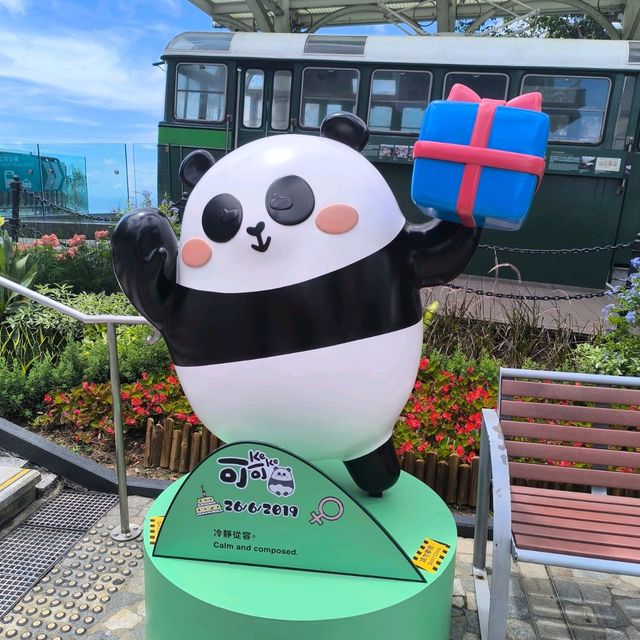 一日玩盡山頂廣場必踏路線