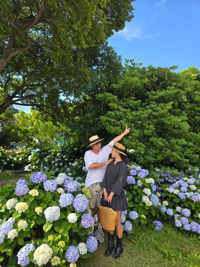 매년 여름 거제도가 더 빛나는 이유💜