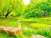 Luobinwang Park: A Cultural Tribute in Yiwu