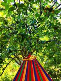 Issyk-Kul lake Cuise