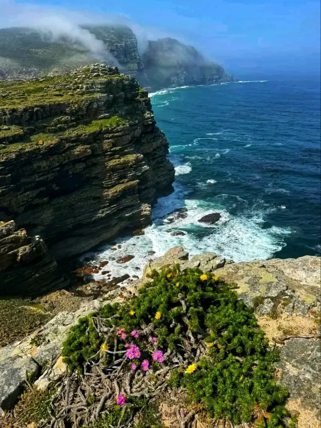 Cape Point – Where Land Meets the Ocean’s Edge 🌊
