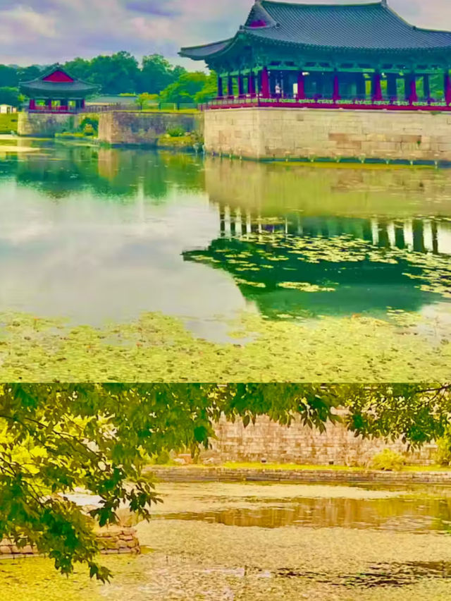 경주 하루 코스 추천 🏛️🌙🥓